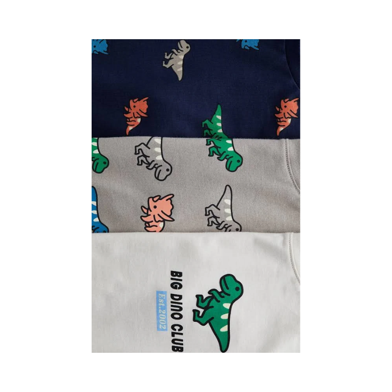 Boys Printed T-Shirt